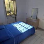 Rent 1 bedroom apartment of 15 m² in Roma