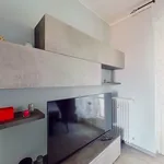 Rent 1 bedroom apartment of 55 m² in torino