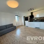 Rent 1 bedroom apartment of 30 m² in Pilsen