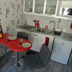 Rent 1 bedroom apartment of 32 m² in Lyon