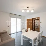 Rent 2 bedroom apartment of 65 m² in Milano