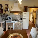 Rent 7 bedroom house of 150 m² in Pietrasanta