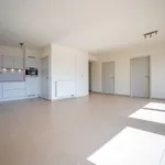 Rent 1 bedroom apartment in Kruishoutem