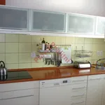 Rent 1 bedroom apartment in Pardubice