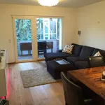 Rent 3 bedroom apartment of 76 m² in Cologne