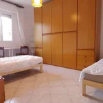 Rent 2 bedroom apartment of 100 m² in bologna