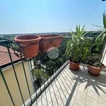 Rent 3 bedroom apartment of 74 m² in Milan