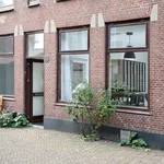 Rent 2 bedroom apartment of 40 m² in Den Haag