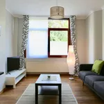 Rent 1 bedroom apartment of 52 m² in brussels