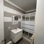 Appartement de 28 m² avec 1 chambre(s) en location à ROANNE