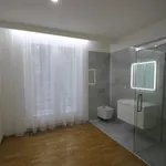 Pronajměte si 4 ložnic/e byt o rozloze 142 m² v Prague