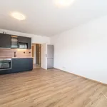 Rent 1 bedroom apartment of 29 m² in Capital City of Prague