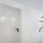 Rent 1 bedroom apartment in Porto