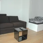 Rent 1 bedroom apartment of 30 m² in Krakow