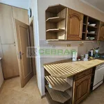 Rent 3 bedroom apartment of 84 m² in České Budějovice