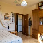 Rent 3 bedroom house of 80 m² in Montalto di Castro