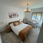 Rent 4 bedroom apartment in Malaga