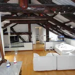 Rent 2 bedroom apartment of 90 m² in Torino