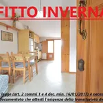 Rent 2 bedroom apartment of 50 m² in Viareggio