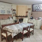 Rent 1 bedroom apartment of 45 m² in Nettuno