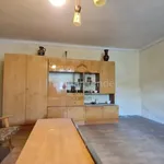 Rent 4 bedroom house of 6160 m² in Dunaszentgyörgy