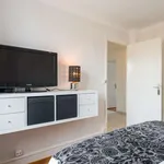 Rent 3 bedroom apartment in lyon