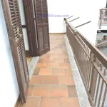 Rent 8 bedroom house of 150 m² in Cuneo