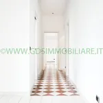 Rent 5 bedroom apartment of 100 m² in Roma