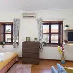 Rent 1 bedroom apartment of 50 m² in Porto