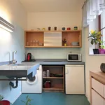 Rent 1 bedroom apartment of 34 m² in Prague