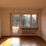 Miete 2 Schlafzimmer wohnung von 54 m² in Zurich