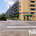 Rent 2 bedroom apartment of 52 m² in Wrocław