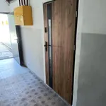 Rent 2 bedroom apartment of 43 m² in Tarnów