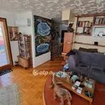 Rent 5 bedroom apartment of 160 m² in Szolnok