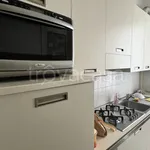 Rent 1 bedroom apartment of 40 m² in Milano