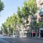 Alquilar 8 dormitorio apartamento en Madrid