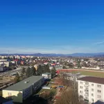 Rent 1 bedroom apartment in Šumperk