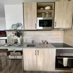 Rent 1 bedroom apartment in Madrid