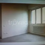 Rent 3 bedroom apartment of 80 m² in Milano