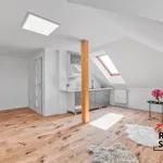 Pronájem bytu 1+kk 28m²