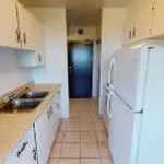 Rent 1 bedroom apartment in Windsor