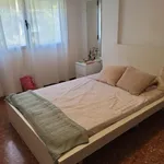 Alquilar 4 dormitorio apartamento en Valencia