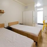 Rent 1 bedroom apartment in Brno