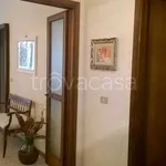 Rent 4 bedroom apartment of 80 m² in Roma Imperiale