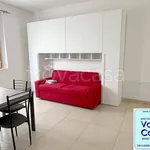 Rent 1 bedroom apartment of 44 m² in Travedona-Monate