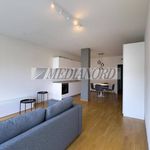 Rent 1 bedroom apartment of 50 m² in Bergamo