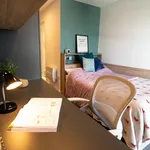 Rent 1 bedroom apartment in Coventry