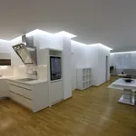 Rent 3 bedroom apartment of 100 m² in Prague