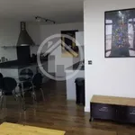 Rent 1 bedroom apartment in Bristol