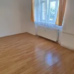 Rent 1 bedroom apartment of 45 m² in Teplice